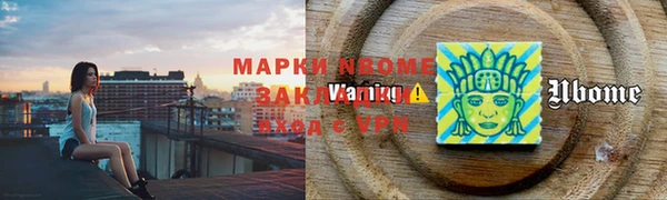шишки Арсеньев