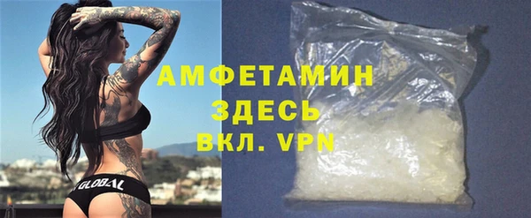 шишки Арсеньев