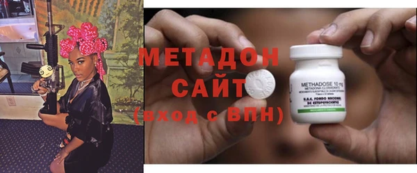 шишки Арсеньев