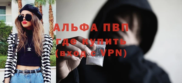 шишки Арсеньев