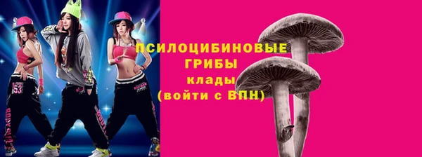 дживик Армянск