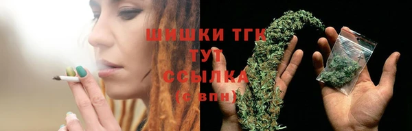 шишки Арсеньев