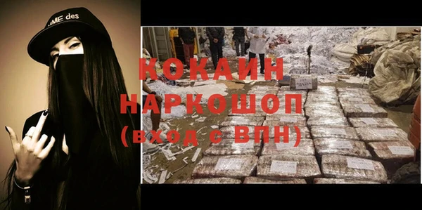 шишки Арсеньев