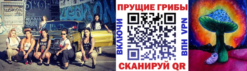 Псилоцибиновые грибы Psilocybe  Рыбное 